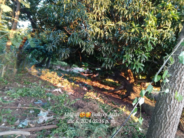 Terreno en venta en El Tejar, Medellín de Bravo — foto 3 de 11