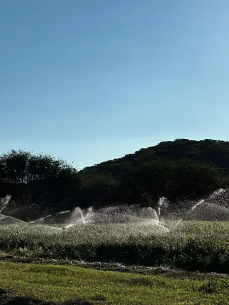 Finca-Rancho en venta en El Rosario, El Marqués — foto 3 de 6