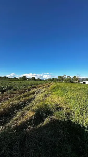 Finca-Rancho en venta en El Rosario, El Marqués — foto 2 de 6