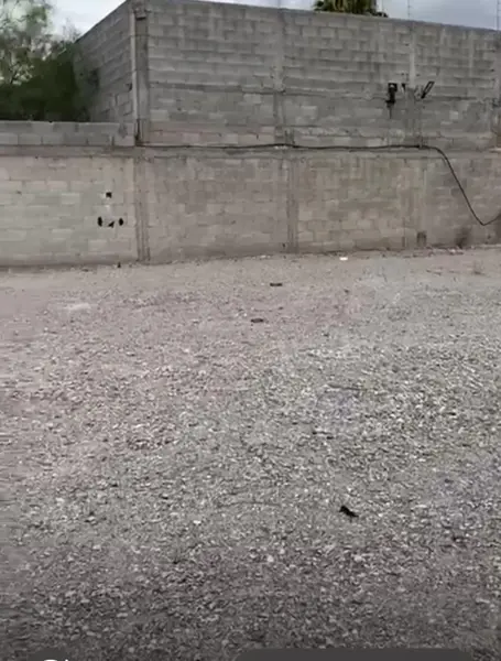 Terreno en renta en El Tajito, Torreón — foto 2 de 10