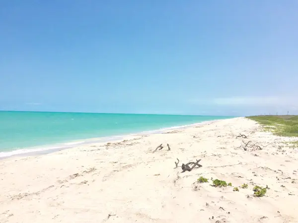 Terreno en venta en Isla Aguada Centro, Carmen — foto 3 de 25