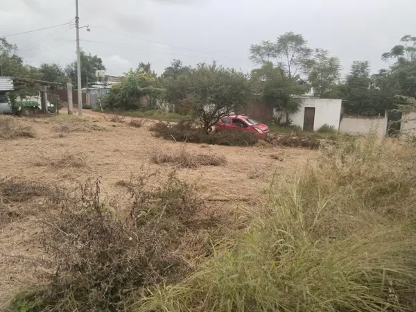 Terreno en venta en 1a Ampliación de Xoxo, Santa Cruz Xoxocotlán — foto 2 de 5