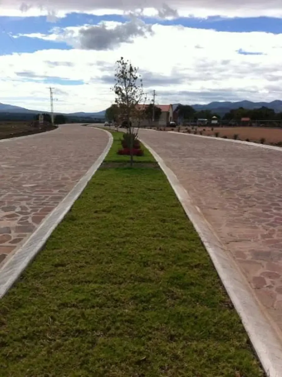 Imagen 2