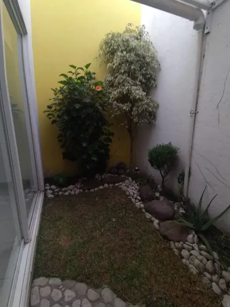 Casa en renta en Cholula, San Pedro Cholula — foto 3 de 8
