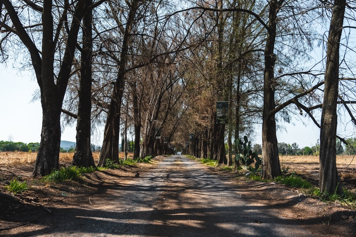 Terreno en venta en Arroyo Hondo, Corregidora — foto 1 de 17