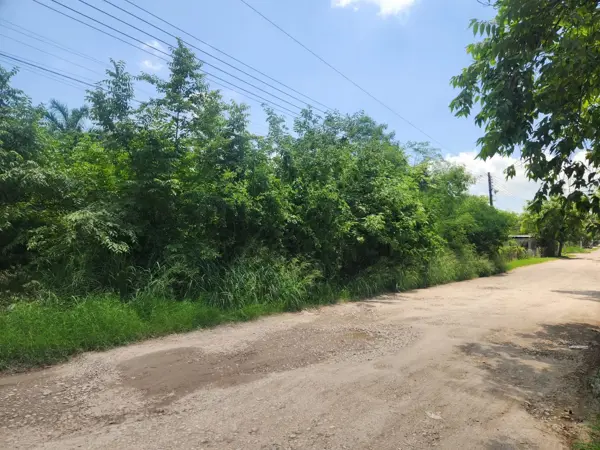 Terreno en venta en Las Americas, Ébano — foto 2 de 3
