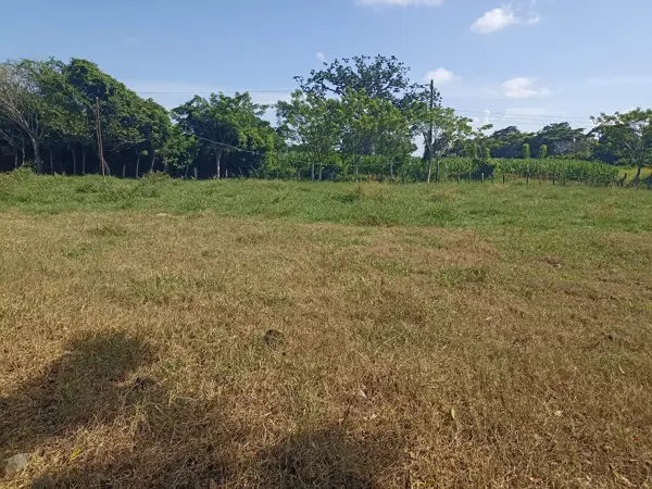 Terreno en venta en El Cuajilote, Jamapa — foto 3 de 6