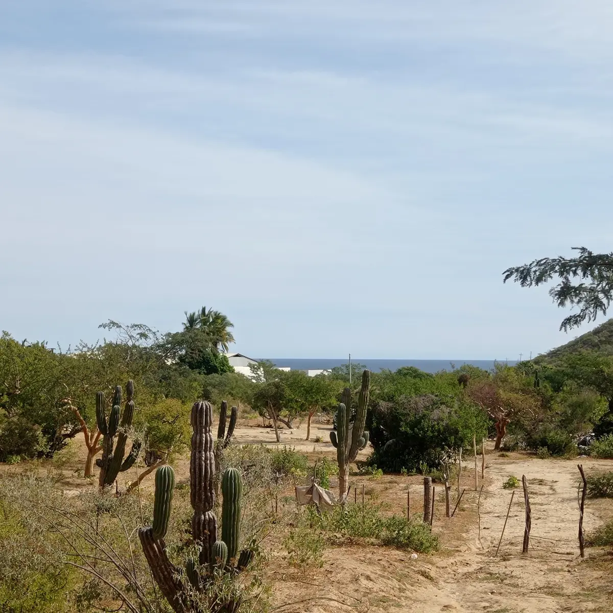 Terreno en venta en Los Barriles, La Paz — foto 1 de 3