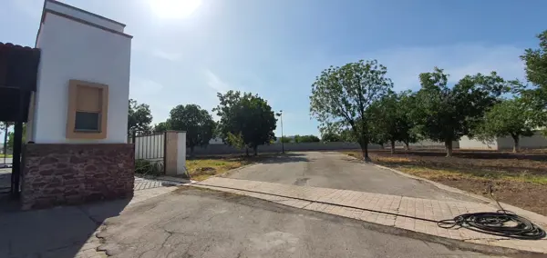 Terreno en venta en Las Trojes, Torreón — foto 3 de 4