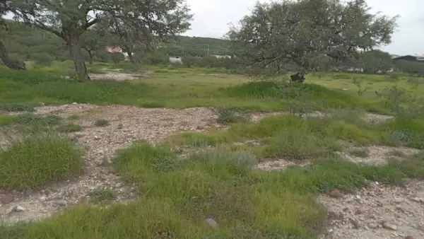 Terreno en venta en San Bartolomé Aguas Calientes, Apaseo El Alto — foto 2 de 4