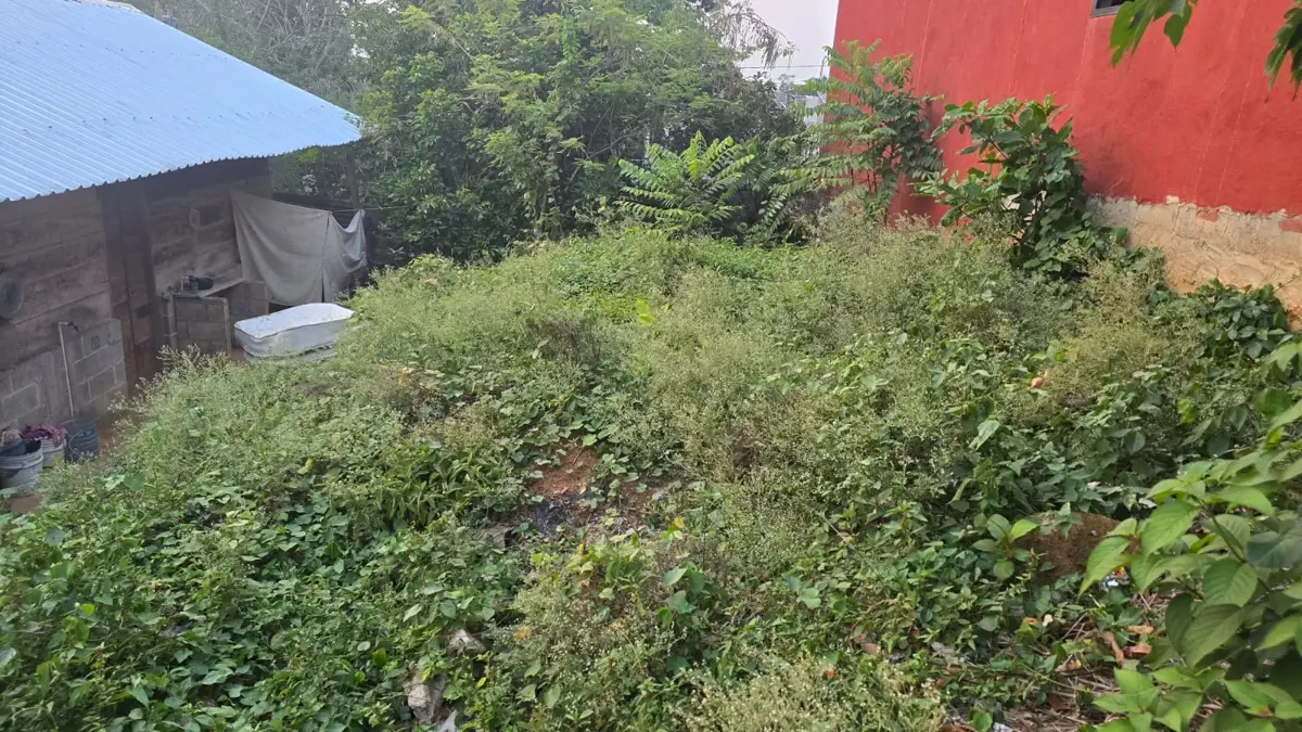 Terreno en venta en Las Flores, Teapa — foto 1 de 2