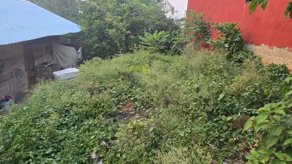 Terreno en venta en Las Flores, Teapa, Tabasco