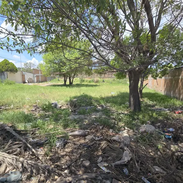 Terreno en renta en 20 de Noviembre, Durango — foto 3 de 5