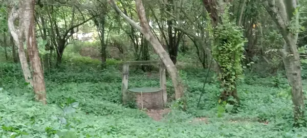 Terreno en venta en Loma Bonita, Poza Rica de Hidalgo — foto 3 de 9