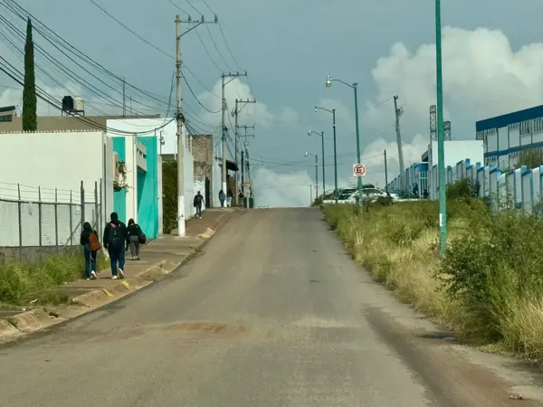 Terreno en venta en Centro, León — foto 3 de 12
