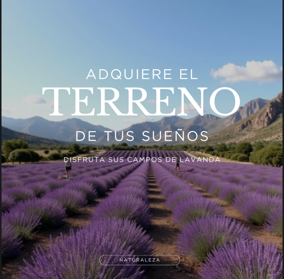 Terreno en Venta en Parras, lote en viñedo!! Terreno en Venta en Parras, lote en viñedo!!