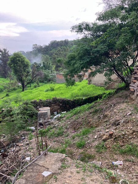 Terreno en venta en Los Almendros, Zapopan — foto 2 de 7