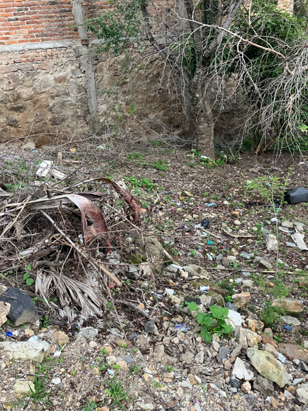 Terreno en venta en Los Almendros, Zapopan — foto 3 de 7
