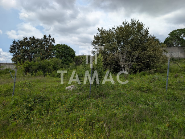 Terreno en venta en Ahuatepec, Cuernavaca — foto 2 de 8