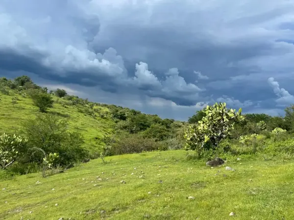 Terreno en venta en Hermosa, Xoxocotla — foto 2 de 5