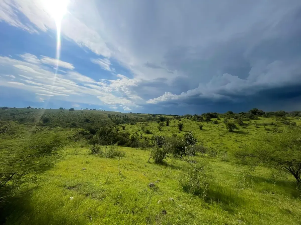 Terreno en venta en Hermosa, Xoxocotla — foto 1 de 5