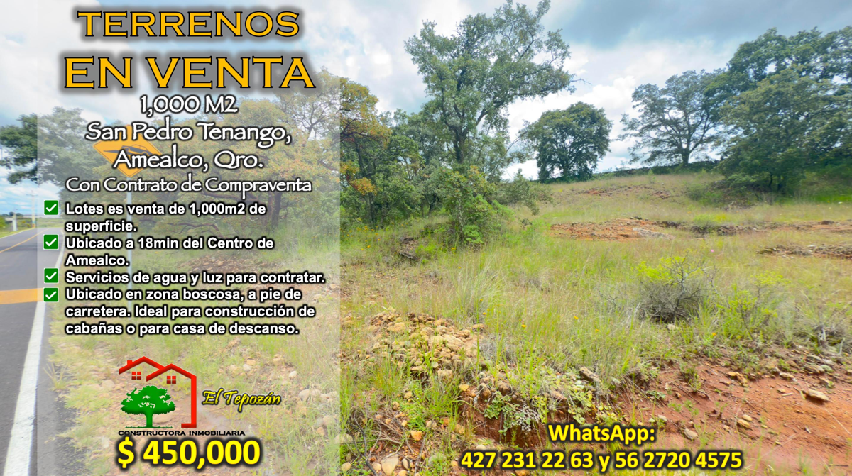 Terreno en venta en San Pedro Tenango, Amealco de Bonfil — foto 1 de 27
