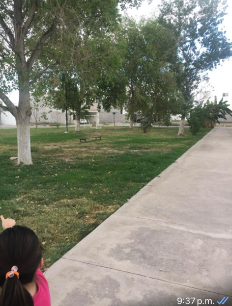 Terreno en venta en Villas del Renacimiento, Torreón — foto 3 de 4