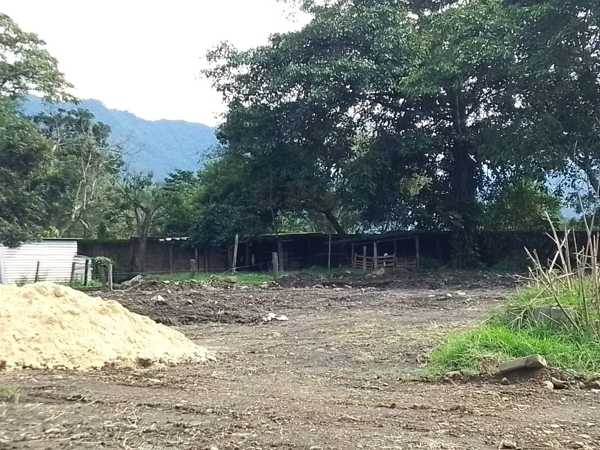 Terreno en venta en Barrio Nuevo, Orizaba — foto 2 de 4
