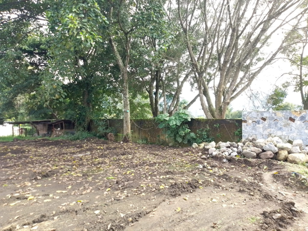 Terreno en venta en Barrio Nuevo, Orizaba — foto 3 de 4