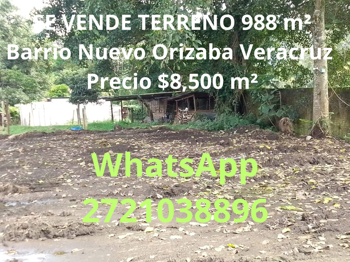 Terreno en venta en Barrio Nuevo, Orizaba — foto 1 de 4