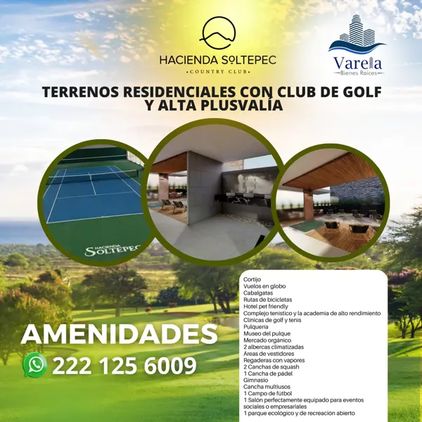 Terreno en venta en Ignacio Zaragoza, Huamantla — foto 2 de 14