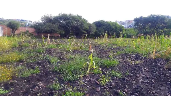 Terreno en venta en San Jose de los Olvera, Corregidora — foto 3 de 7