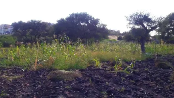 Terreno en venta en San Jose de los Olvera, Corregidora — foto 2 de 7