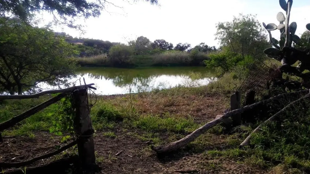 Terreno en venta en San Jose de los Olvera, Corregidora — foto 1 de 7