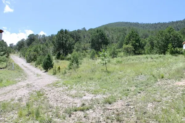 Terreno en venta en Los Lirios, Arteaga — foto 3 de 15