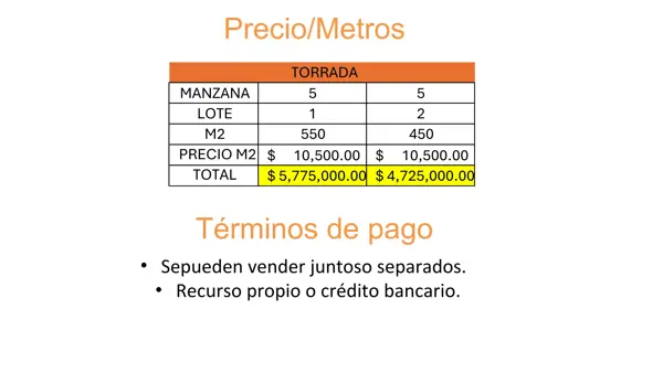 Terreno en venta en Oscar Flores Tapia, Saltillo — foto 3 de 3