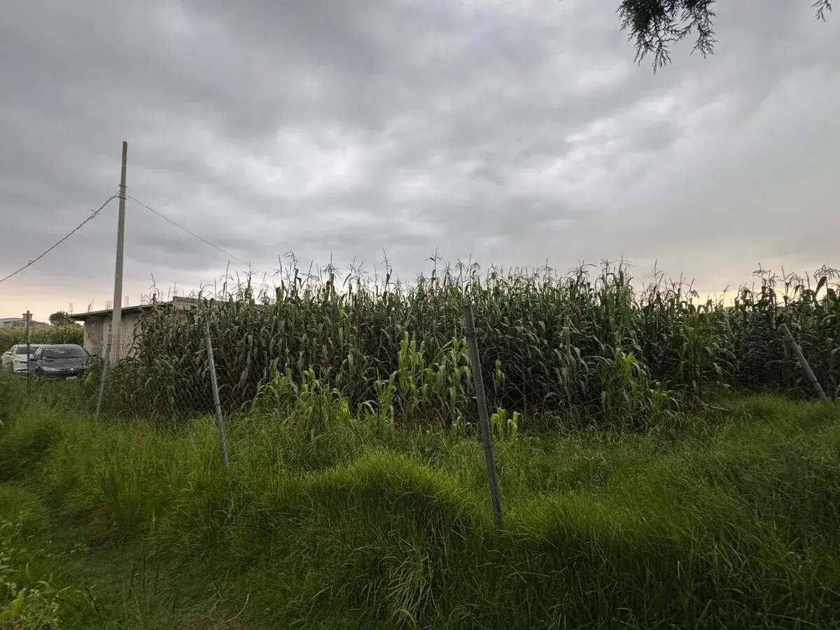 Terreno en venta en San Nicolas Tolentino, Toluca — foto 1 de 4