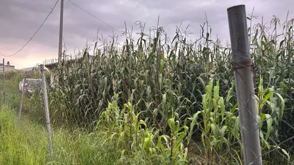 Terreno en venta en San Nicolas Tolentino, Toluca — foto 3 de 4