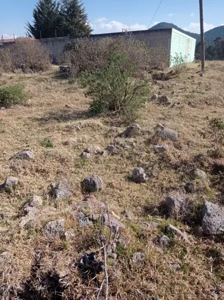 Terreno en venta en Laguna Seca 2da. Sección, Villa Victoria — foto 3 de 13