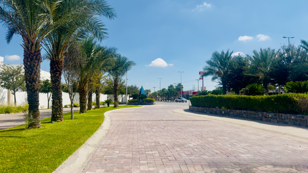 Terreno en venta en Almeras, Torreón — foto 2 de 15