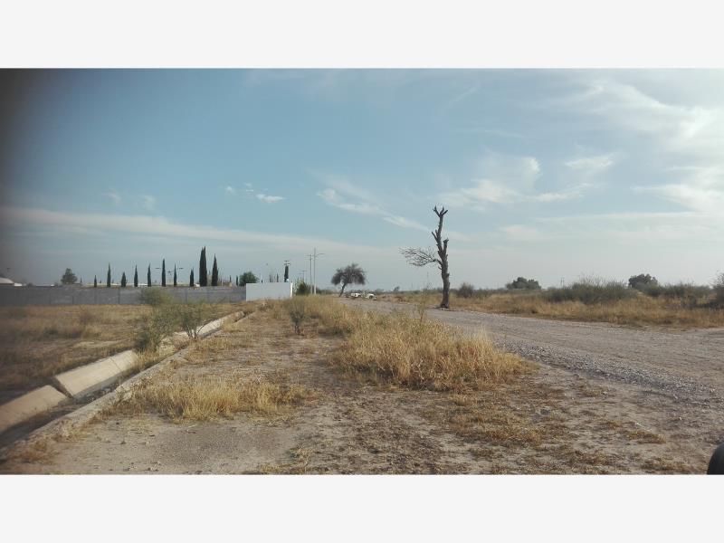 Vista 5 de Terreno en Venta en La Conchita Roja, Torreón, Coahuila de Zaragoza