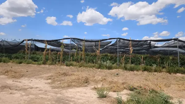 Finca-Rancho en venta en El Realito, Ramos Arizpe — foto 2 de 12