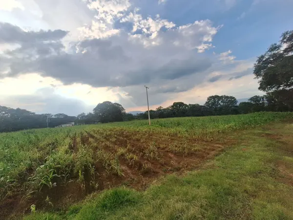 Finca-Rancho en venta en Amealco de Bonfil Centro, Amealco de Bonfil — foto 3 de 6