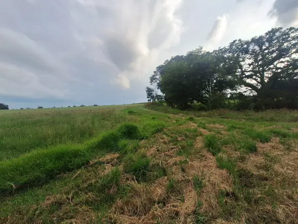 Finca-Rancho en venta en Amealco de Bonfil Centro, Amealco de Bonfil — foto 2 de 6