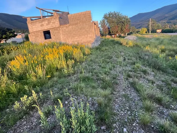 Terreno en venta en Ejidal, Arteaga — foto 3 de 5