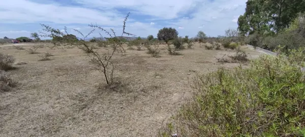 Terreno Habitacional en Venta en Nuevo Campus BUAP CU 2, Puebla