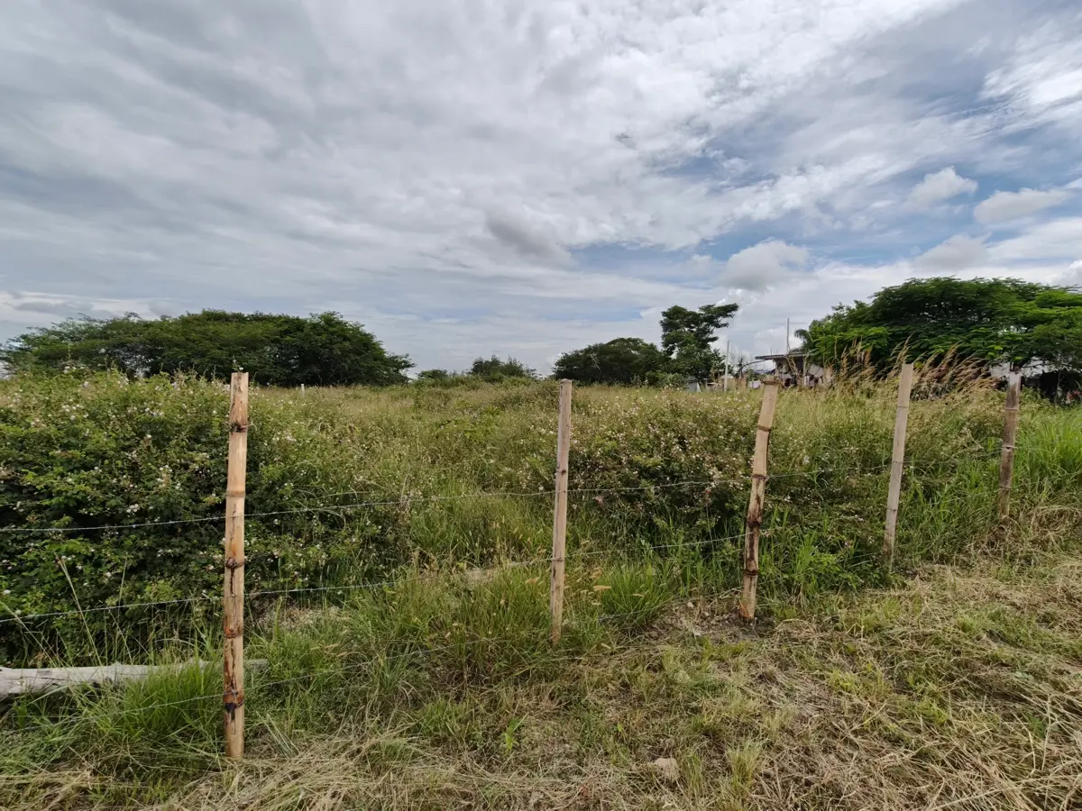 Terreno en venta en Miradores (Miradores del Mar), Emiliano Zapata — foto 1 de 5