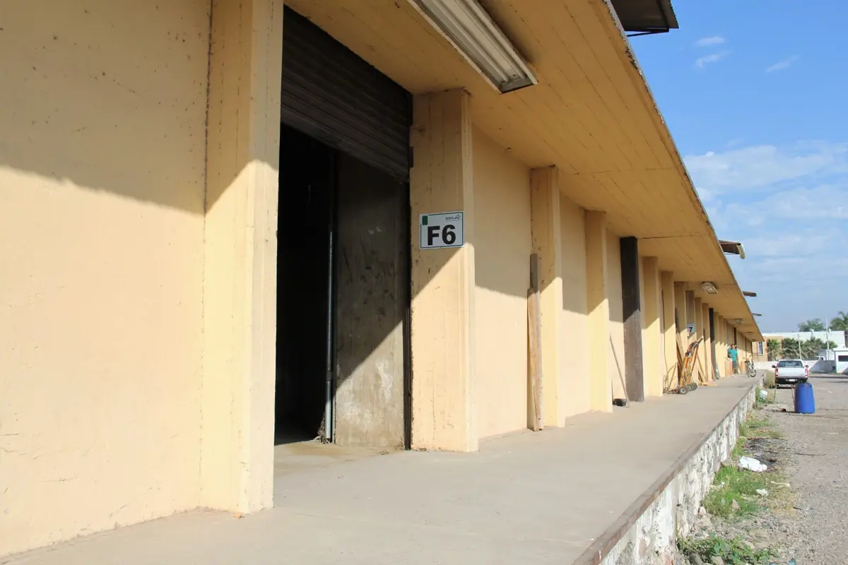BODEGA EN RENTA 313 M2 EXCELENTE UBICACION LAS FLORES CULIACAN SINALOA BODEGA EN RENTA 313 M2 EXCELENTE UBICACION LAS FLORES CULIACAN SINALOA