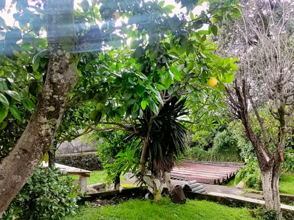Terreno en venta en Santa Maria Ahuacatitlan, Cuernavaca — foto 2 de 34