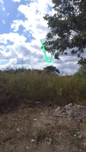 Terreno en venta en Dzitya, Mérida — foto 3 de 3